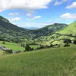 Lauseig