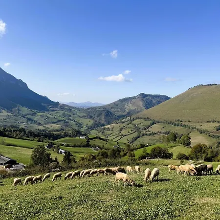Lauseig Hébergement de vacances *
