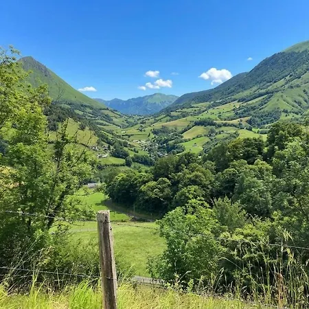 Lauseig