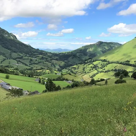 Lauseig